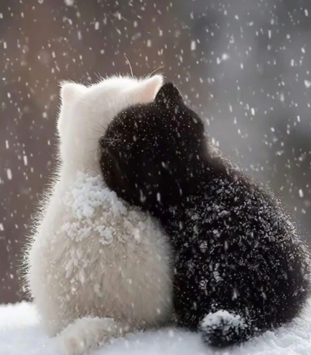 Snimka-zaslona-2026-01-15-202449