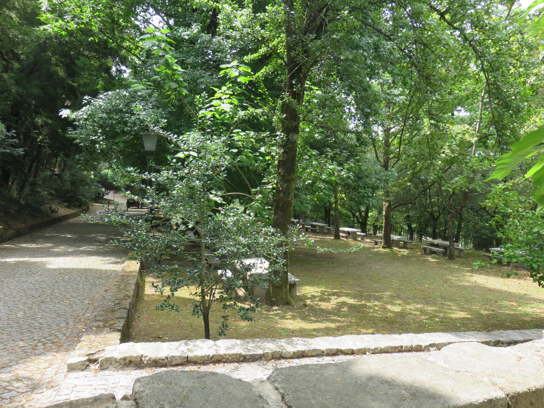 IMG 2527 — Postimages