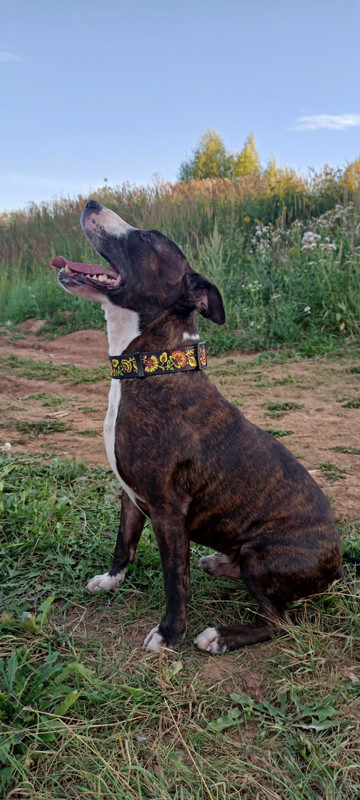 FCA218EF-3C2A-48D5-93FE-082B80A1B0B5