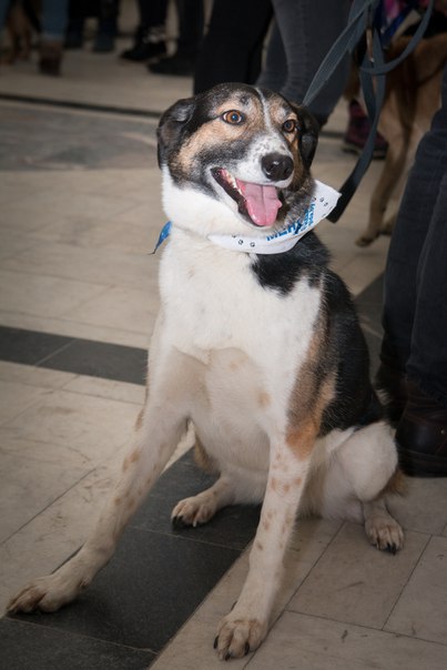 DC23A0FB-9409-43D0-B019-D8A0674FA913