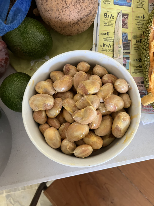 4DC6A4FE-03A0-464D-8C26-01EF66EFD88C