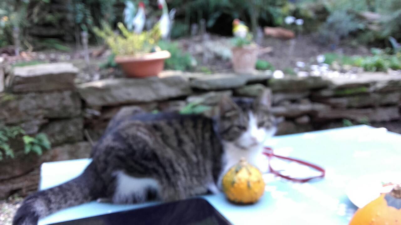 9E76AA56-4056-4DAA-9275-35995AE028A7