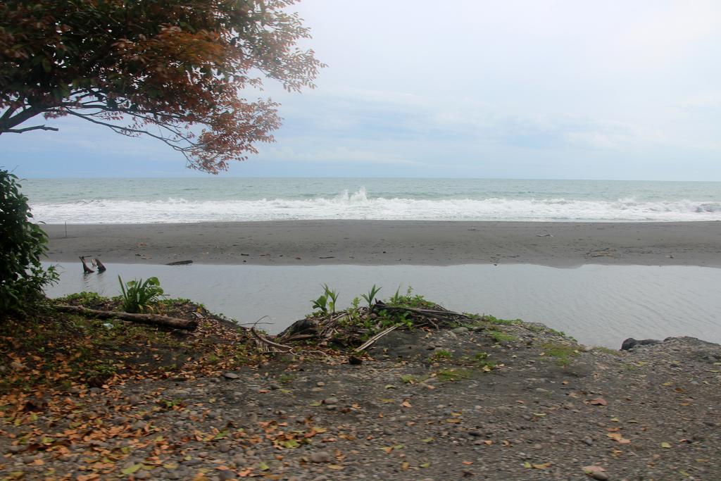 DIA 4: PRIMER DÍA EN PUERTO VIEJO - DE TORTUGAS Y PEREZOSOS. COSTA RICA 2019 (22)