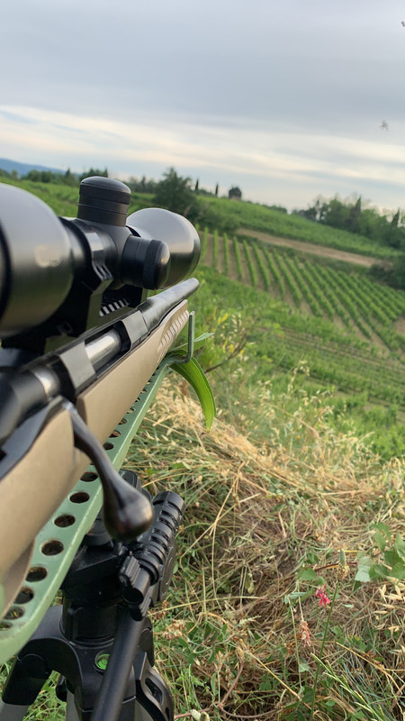 608BFE01-8F11-405A-98FE-7E2707498AF2