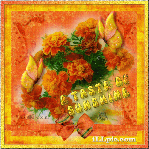 Sunshine_a_Taste