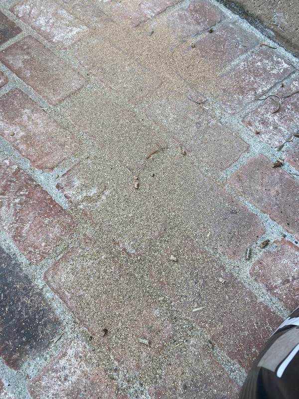 68560B25-FE59-4747-8D4B-FEBD6A354A83