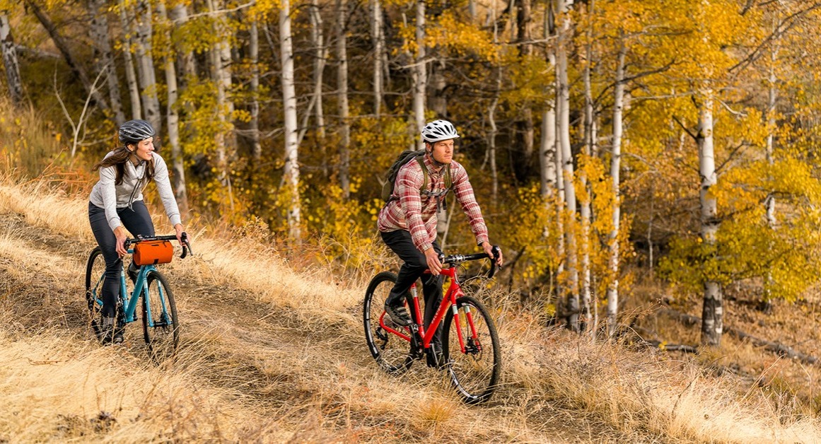 RALEIGH【ラレー】クロモリロードバイクおすすめまとめ2021 | ラルプバイク