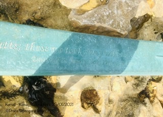 12037273-D2-C7-419-C-8567-E5-A8-C4117-F9