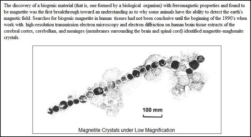 Mag-2.jpg