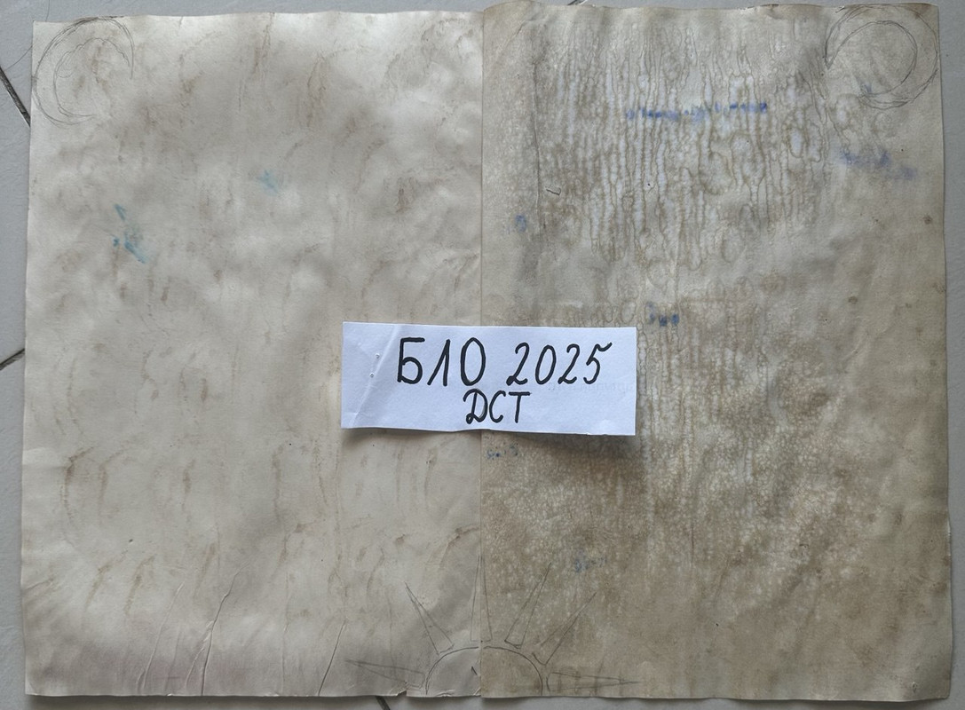 Гербарий процесс 2