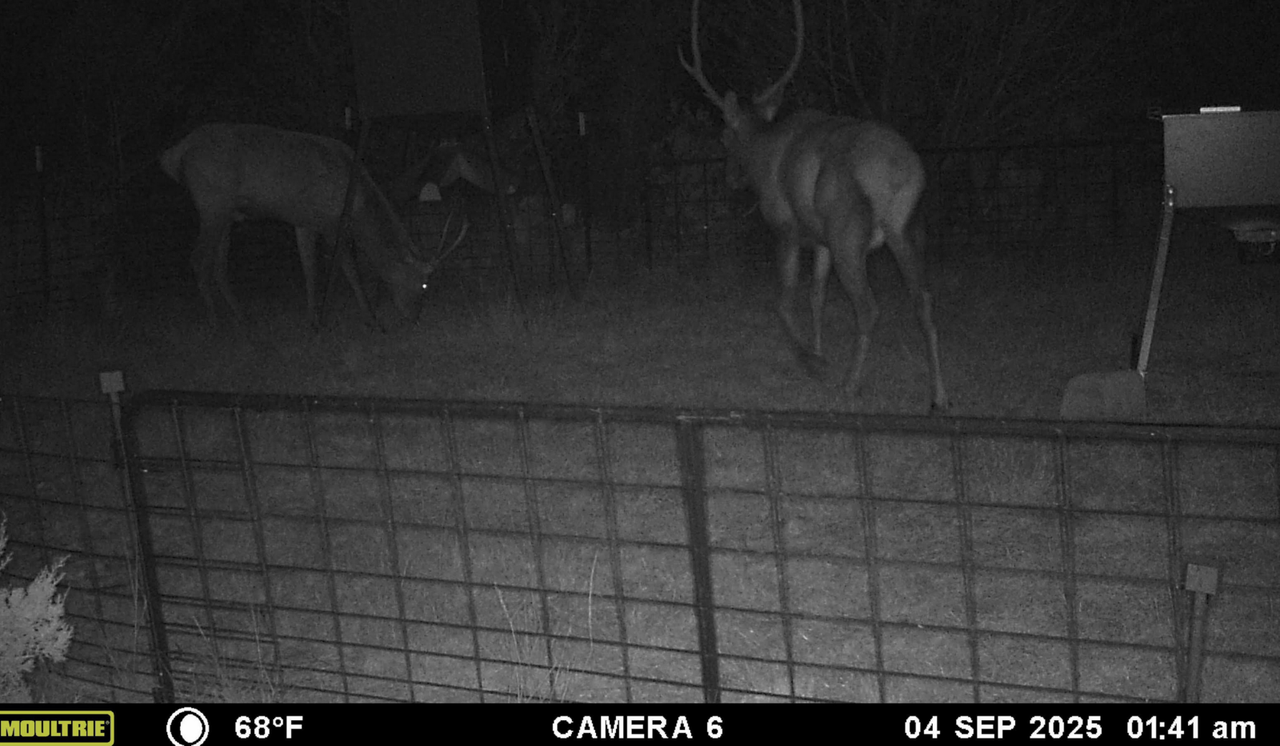 Screen Shot 2025-09-26 at 5.14.57 PM