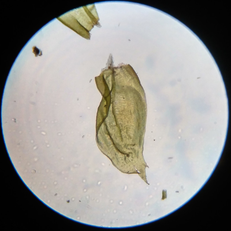 IMG 20250616 212027 HDR