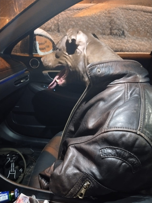 EF947AE4-628D-4C41-A652-CBC91D5884AA