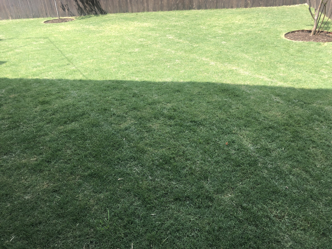 1772E4C2-B607-4919-A504-8F41ACBA610C