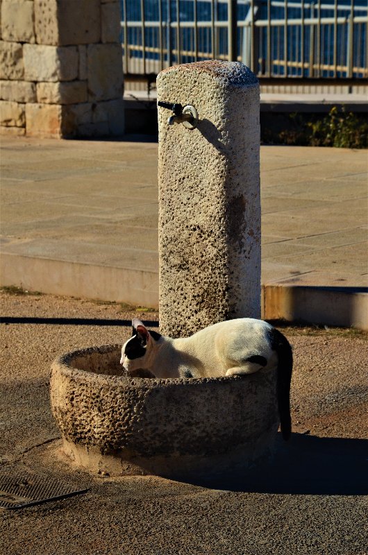 POLINAGNO A MARE-27-9-2018 - Italia y sus pueblos-2018/2019/2023 (76)