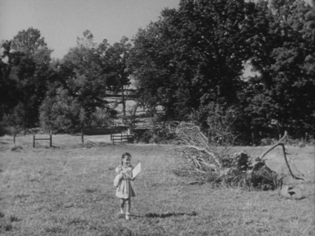 The Well 1951.mkv_snapshot_00.01.45_[2016.08.13_