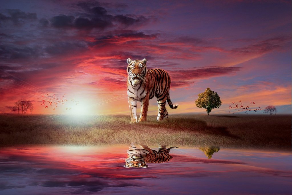 pink-tiger-3724450-1280.jpg