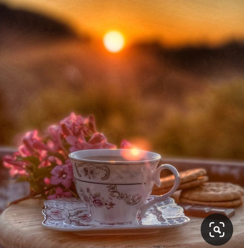 Screenshot_20240328_232236_Pinterest