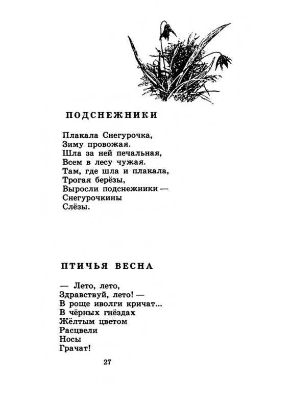 Belozerov-Timofej-Smorodinovyj-kust-1977-page-0030