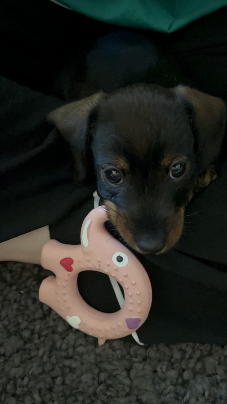 [Image: IMG-0518.jpg]