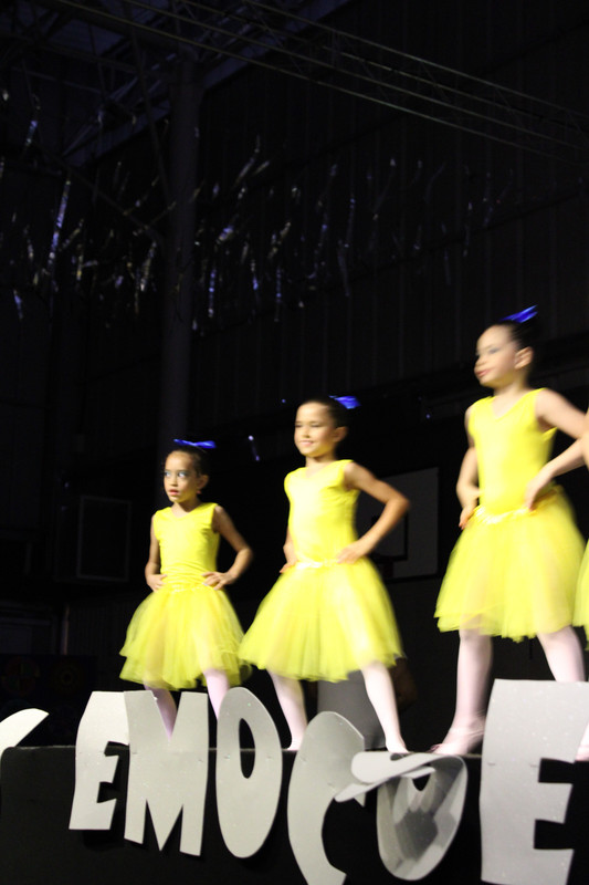 Apresentação de dança (Ballet) (139)
