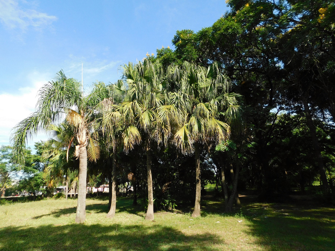 DSCN0318.jpg