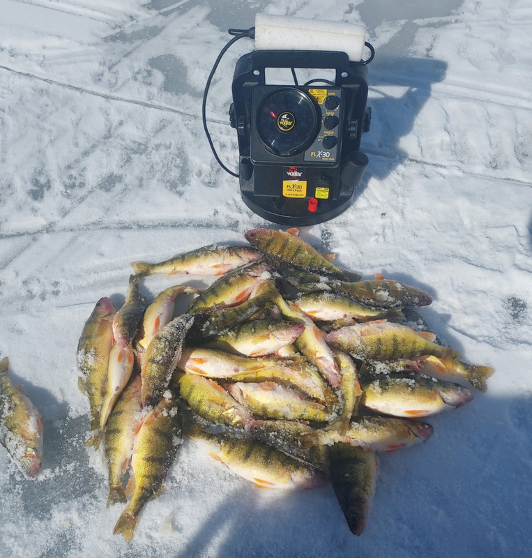 perch in pile