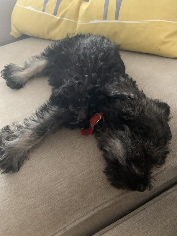 CA0ACE81-F7F8-432C-83DC-8D30CEB37D3D