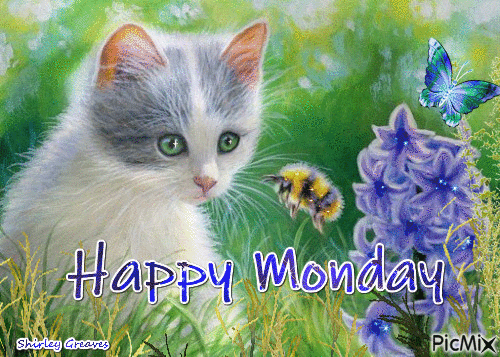 MONDAY-lundi-22