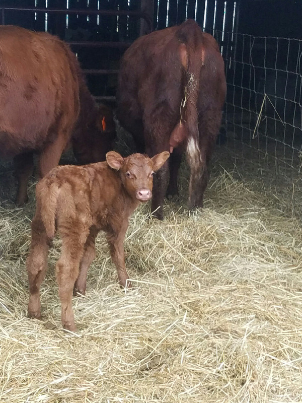 Resized_20171218_151345_1519512854452