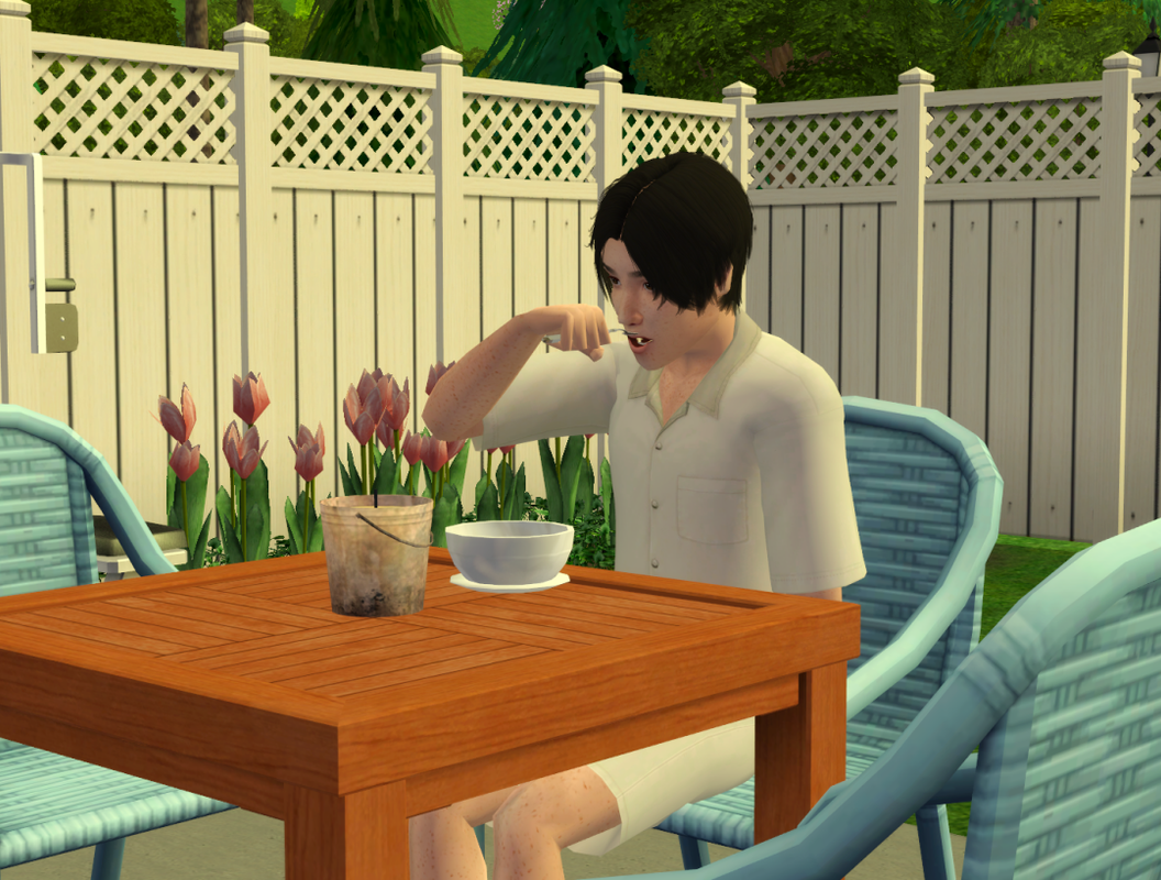 Sims2-EP9-RPC-2023-06-16-09-54-50-54