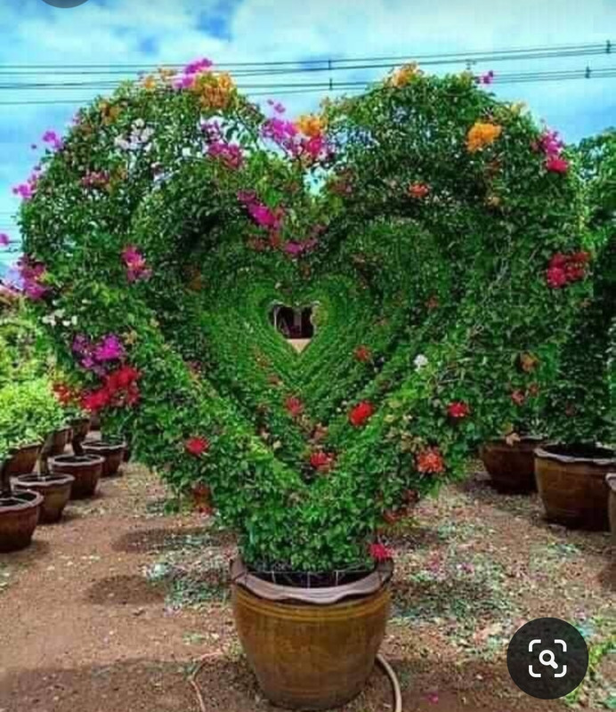 Screenshot_20230402_233827_Pinterest