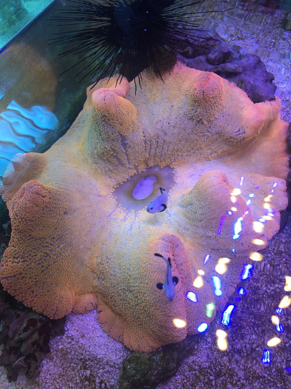 68B05F9C-C88A-4A35-8CAA-BDCA35629ADA