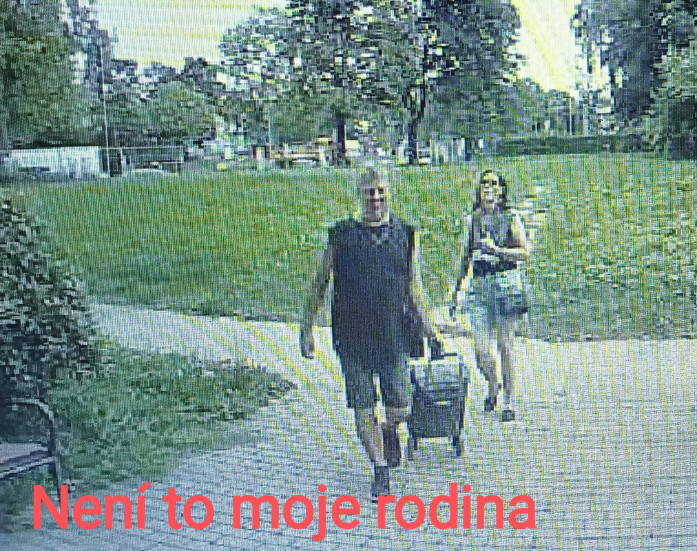 Svoboda Milan sdoprovodem