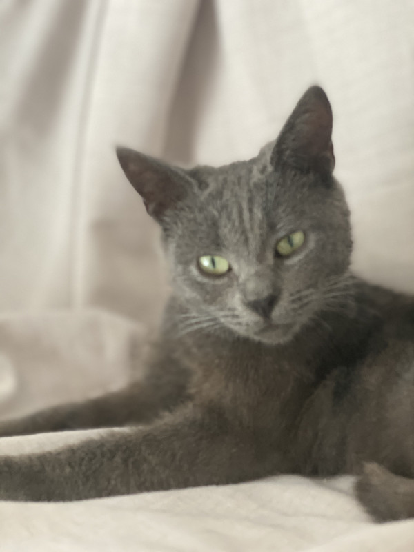 0499E5F4-B073-45C8-8D74-1C80134C5147