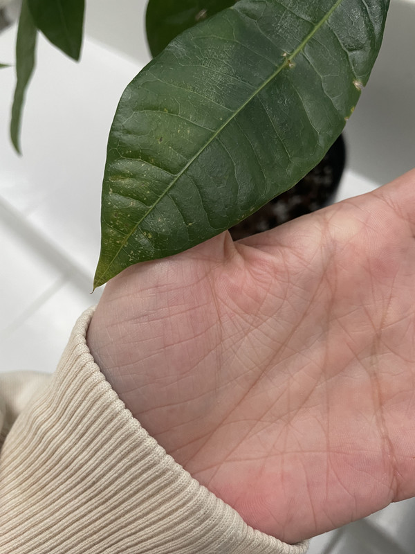 C8B81271-003C-49F9-90E0-2F4A838281CA