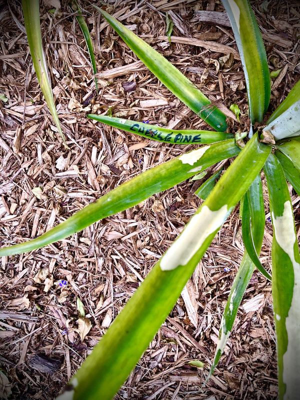 752E71C5-FF2C-400A-A34E-DA452C57EAE6