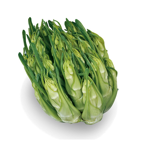 Cicorie con cime 1 kg