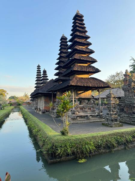 6 Aviones, 3 barcos y 2 trenes, empezando en Estambul y terminando Kuala Lump - Blogs de Indonesia - TERCERA PARADA: BALI (96)