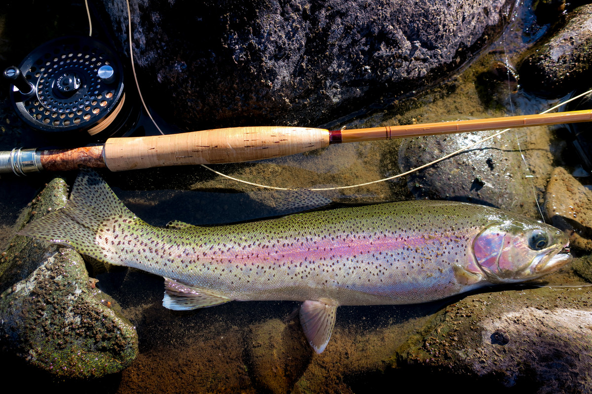 Carlin on the Yakima Sept 2019