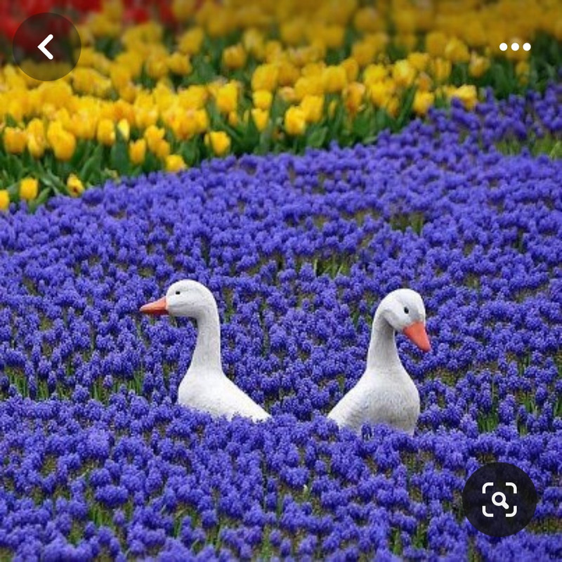 Screenshot_20240324_221319_Pinterest