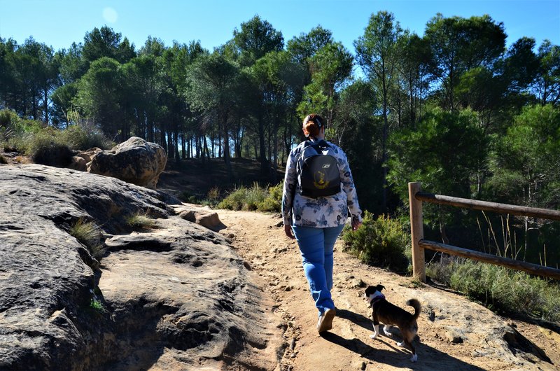 RUTA DE LAS CARAS-2011/2015-CUENCA - Paseando por España-1991/2016 (32)
