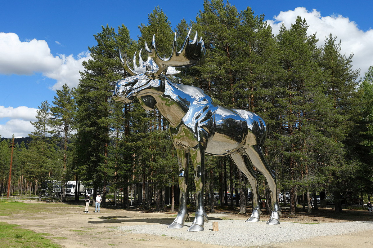 20220619T151702_IMG_2422_Stor Elg