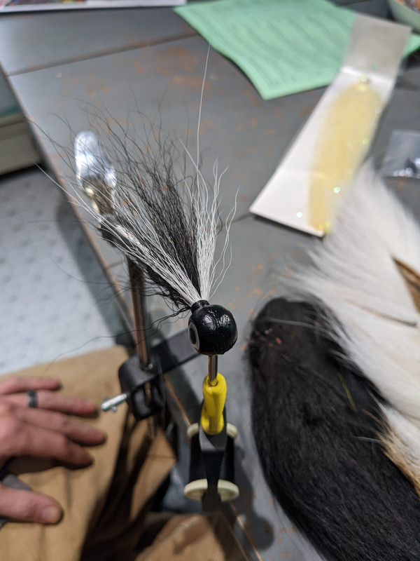 PXL_20201119_194339026