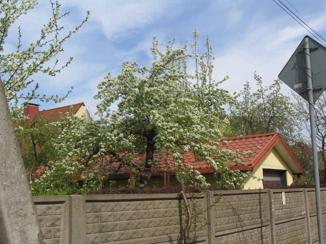 11 апреля 2024 003