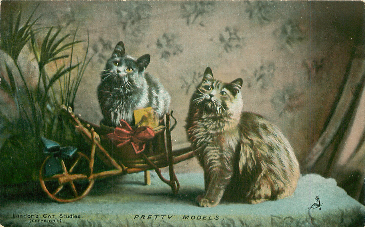 23-2011-06-15-18-08-50