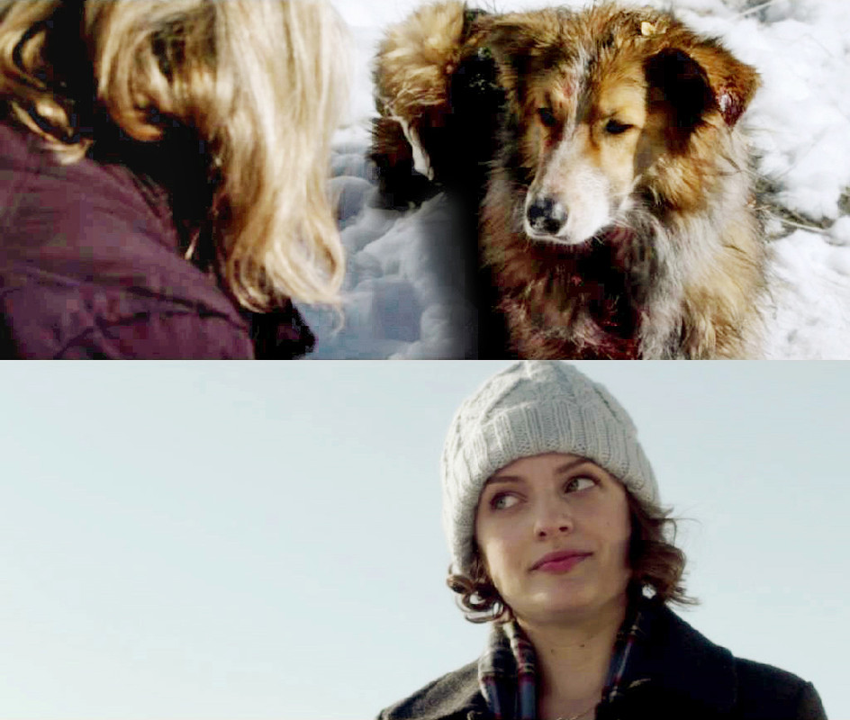 DARLING COMPANION 01