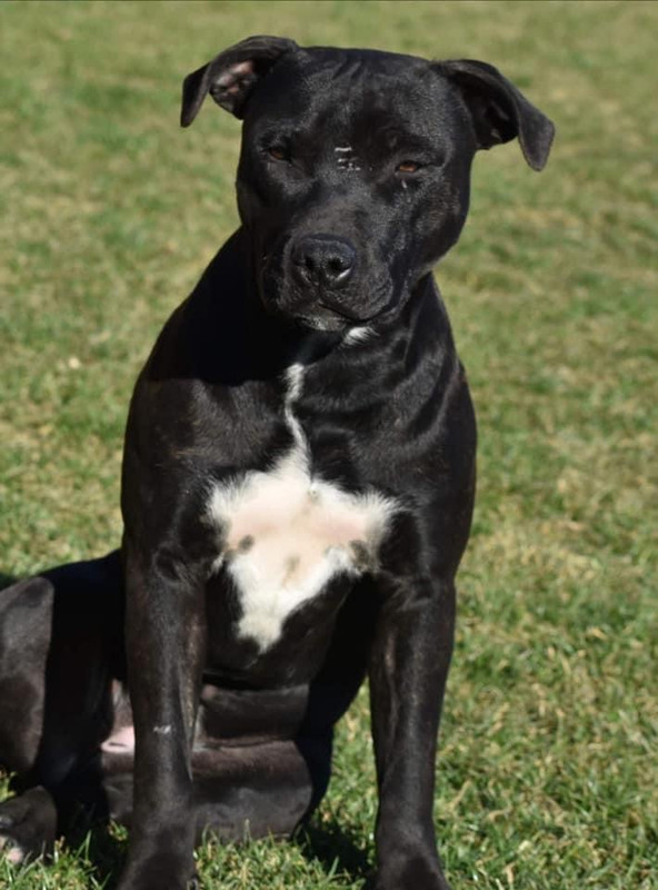 A7FC6F30-A55A-493B-886A-9E6062F69074