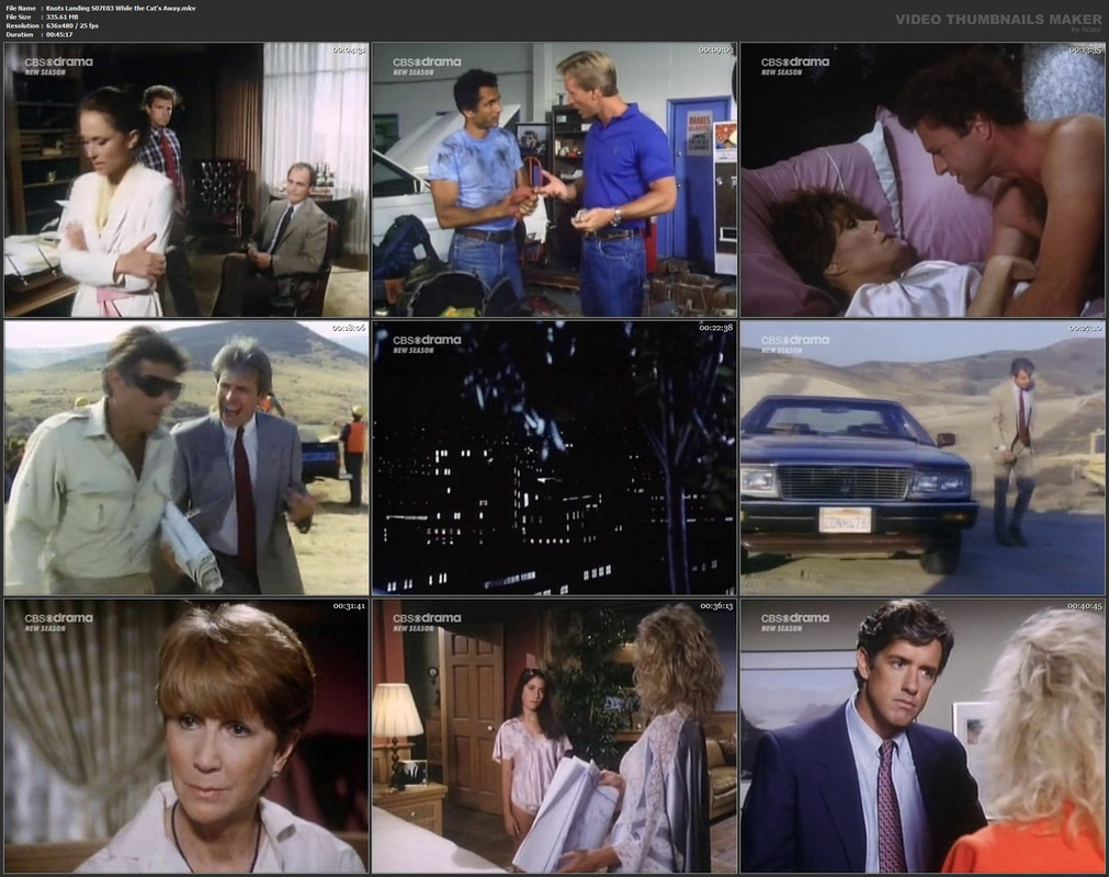 Knots Landing S07E03 While the Cat's Away.mkv
