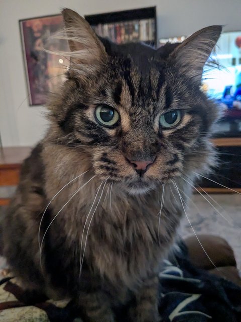 Junior-L-20250615-224055564-1.jpg